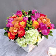 Say Anything - beverlyhillsflorist