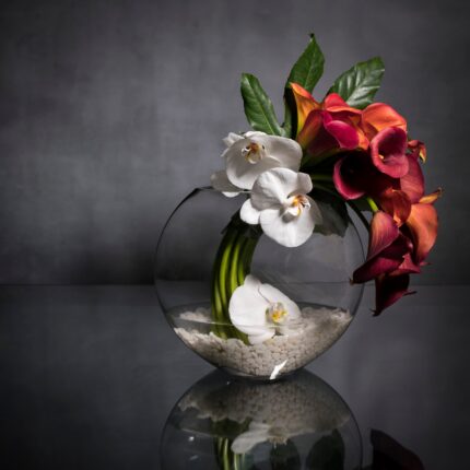 My Beverly Hills Florist presents same day delivery for our arrangement with an assortment of seasonal florals, greens and orchids in a glass vase. Perfect for birthdays, welcomes and office decor.