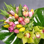 Tulips in Spring - beverlyhillsflorist