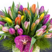 Springilicious - beverlyhillsflorist