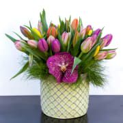 Springilicious - beverlyhillsflorist