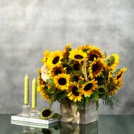 Rays of Sunshine - beverlyhillsflorist