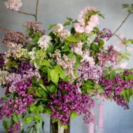 Lilacs Standing Tall - beverlyhillsflorist