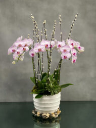 Purple Garden - beverlyhillsflorist