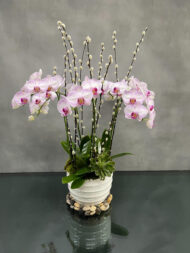 Purple Garden - beverlyhillsflorist