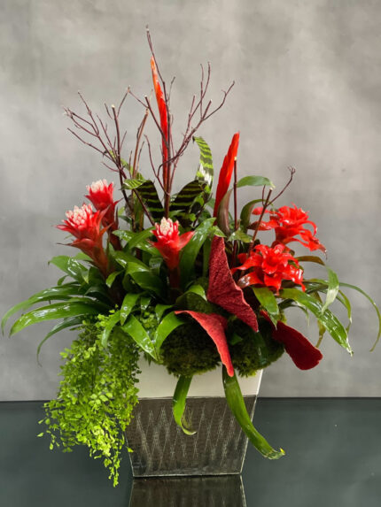 Red Bromeliads Fantasy - beverlyhillsflorist