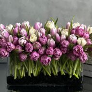 Tulip Please! - beverlyhillsflorist