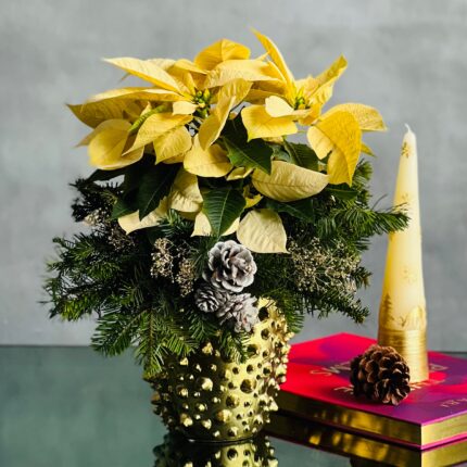 Winter White Poinsettia - beverlyhillsflorist