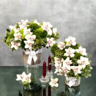 Succulent Sensations - beverlyhillsflorist