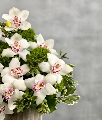 Succulent Sensations - beverlyhillsflorist