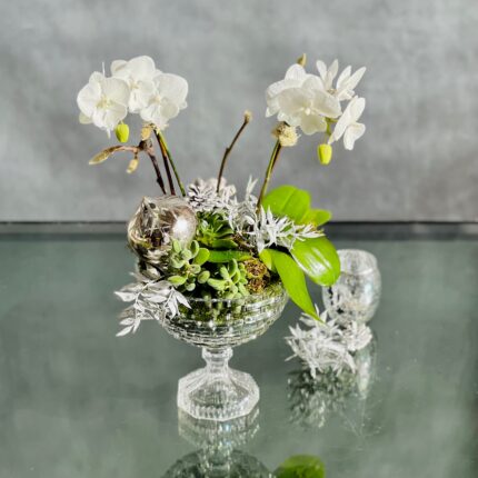 Crystal Orchids - beverlyhillsflorist