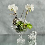 Crystal Orchids - beverlyhillsflorist