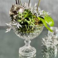 Crystal Orchids - beverlyhillsflorist