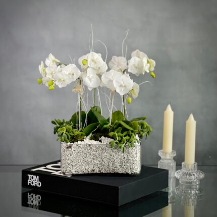 Color me White - beverlyhillsflorist
