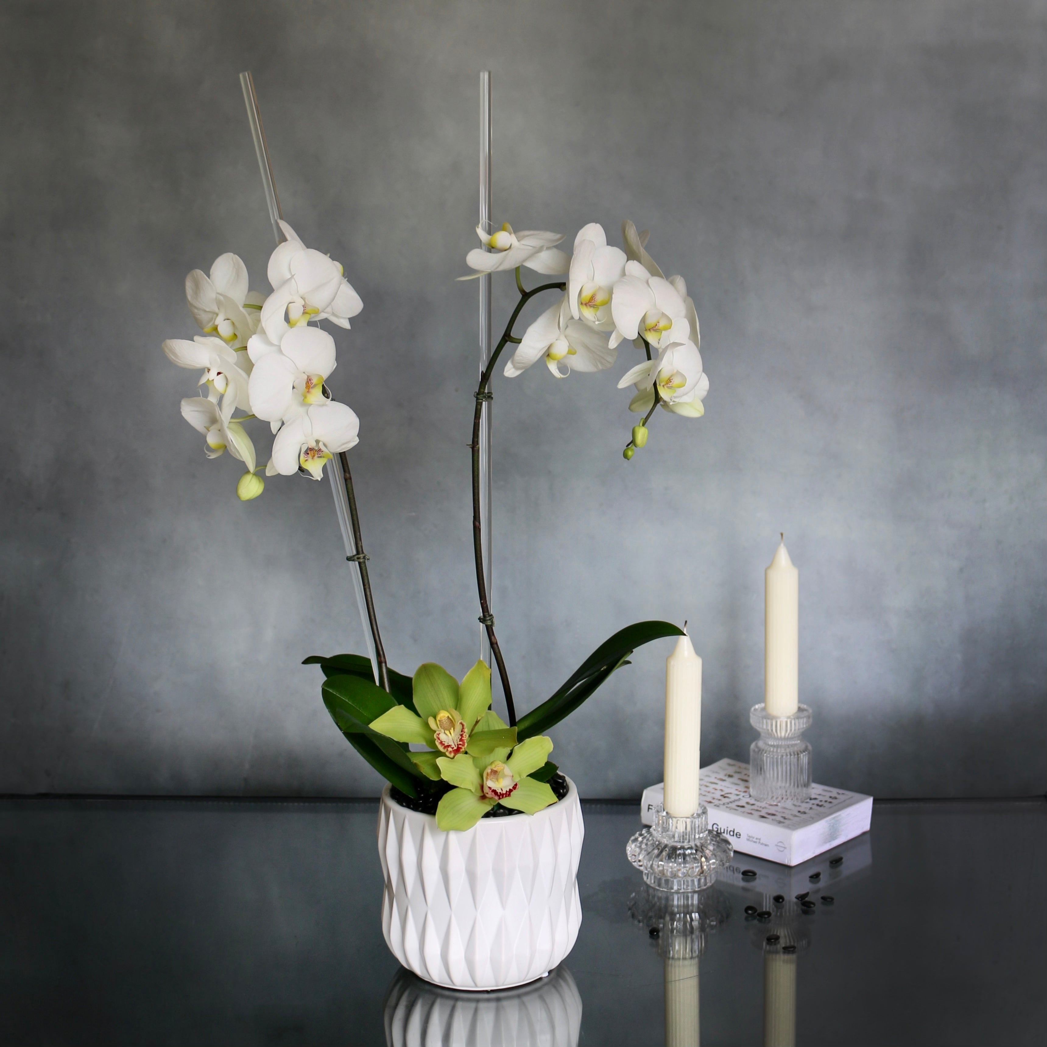 white_orchids Simplistic Orchid - beverlyhillsflorist