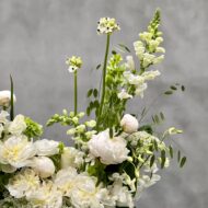 Timeless Purity - beverlyhillsflorist