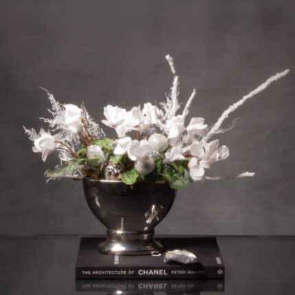 White Xmas Cyclamen - beverlyhillsflorist