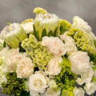 Designers Choice - Waiting to Exhale - beverlyhillsflorist