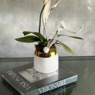 Orchid Nirvana - beverlyhillsflorist