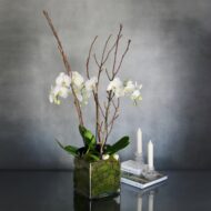 Take a Bow - beverlyhillsflorist