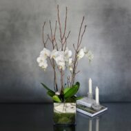 Take a Bow - beverlyhillsflorist