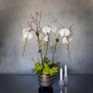 White Orchids on pedestal - beverlyhillsflorist