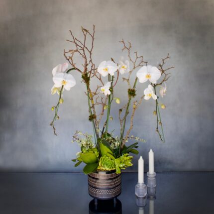 White Orchids on pedestal - beverlyhillsflorist