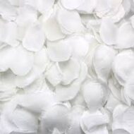 One Gallon bag of Rose Petals (Red, Pink or White) - beverlyhillsflorist