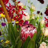 Fall Flirtation - beverlyhillsflorist