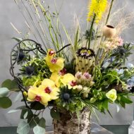 Blooming Birch - beverlyhillsflorist