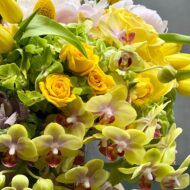 Mellow Yellow - Designers choice - beverlyhillsflorist
