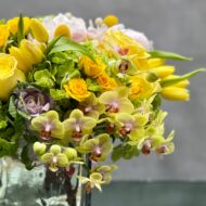 Mellow Yellow - Designers choice - beverlyhillsflorist