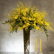 Enchanting Oncidium Orchids - beverlyhillsflorist