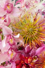 Vivid Orchids - beverlyhillsflorist