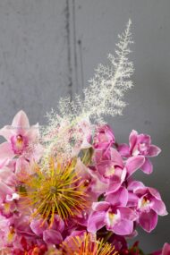 Vivid Orchids - beverlyhillsflorist