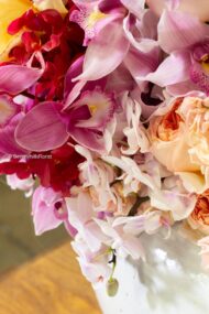 Vivid Orchids - beverlyhillsflorist