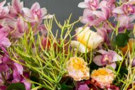 Vivid Orchids - beverlyhillsflorist