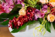Vivid Orchids - beverlyhillsflorist