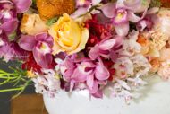 Vivid Orchids - beverlyhillsflorist