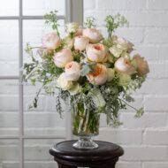 Creamy Rose Whispers - beverlyhillsflorist
