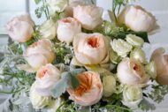 Creamy Rose Whispers - beverlyhillsflorist