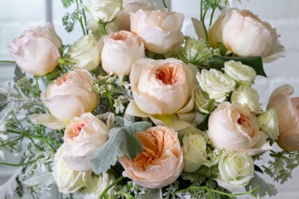 Creamy Rose Whispers - beverlyhillsflorist
