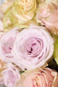 Ethereal Pastels - beverlyhillsflorist