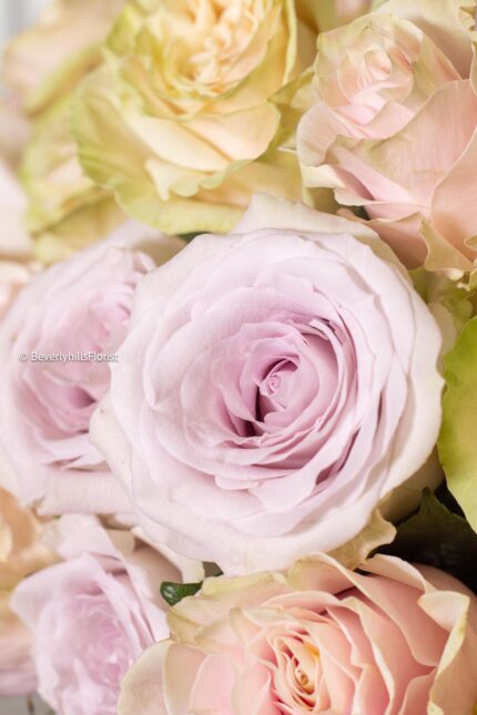 Ethereal Pastels - beverlyhillsflorist