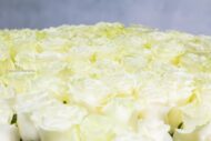 Regal Roses, Orchids & Peonies - beverlyhillsflorist